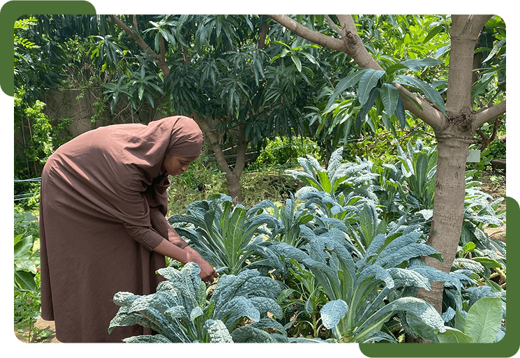 Women in Agriculture